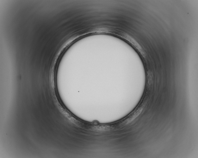 X0000111450939200908101032