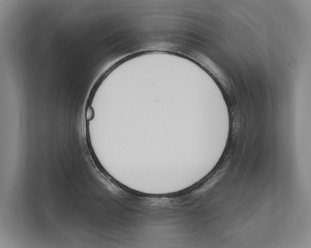 X0000111450940200908101032