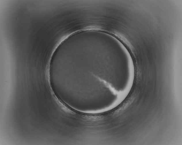 X0000111450941200908101032