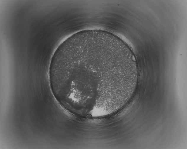 X0000111450943200908101032