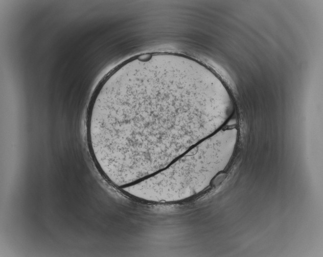 X0000111450944200908101032