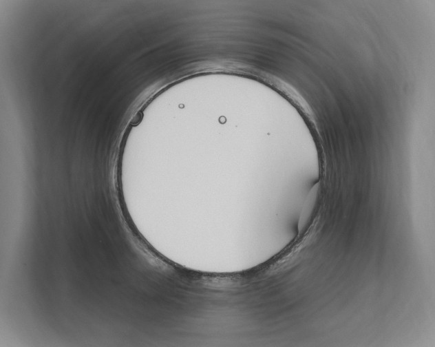 X0000111450946200908101032