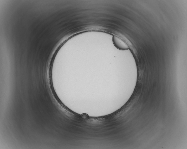 X0000111450947200908101032