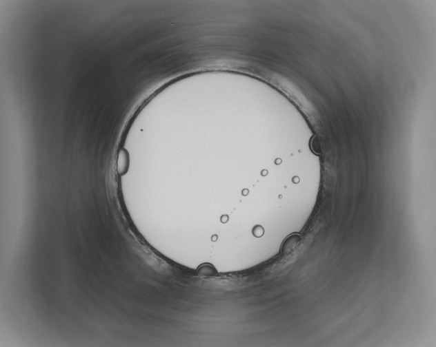 X0000111450948200908101032