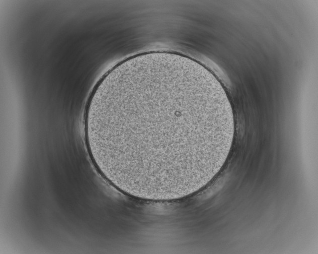 X0000111450950200908101032