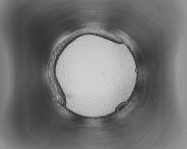 X0000111450952200908101032
