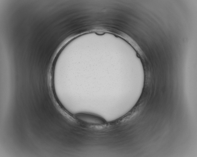 X0000111450955200908101032