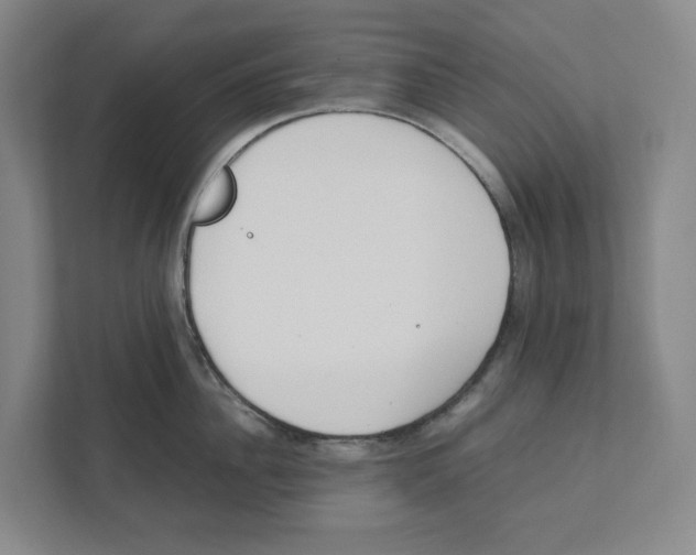 X0000111450956200908101032
