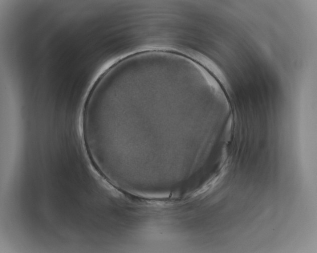 X0000111450958200908101032