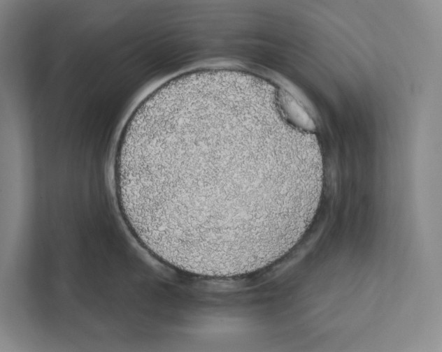 X0000111450959200908101032