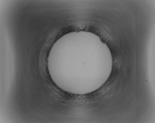 X0000111450961200908101031