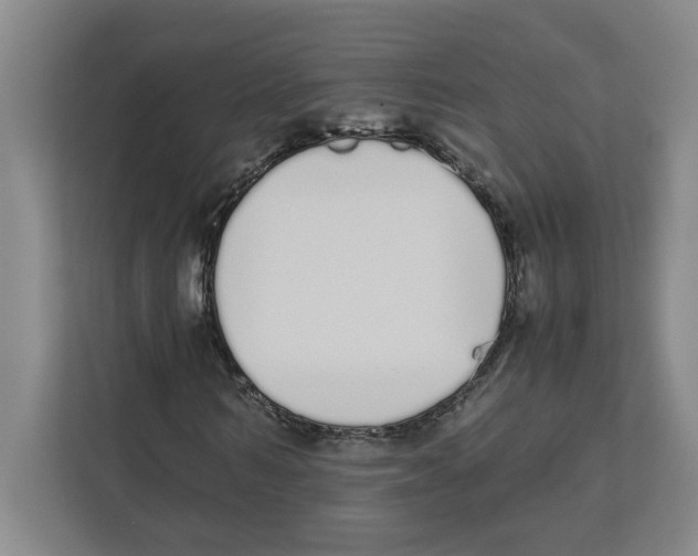 X0000111450962200908101031