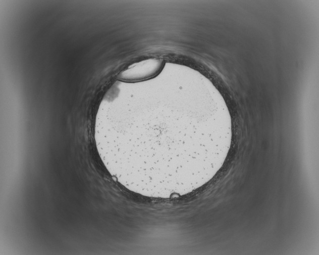 X0000111450965200908101031