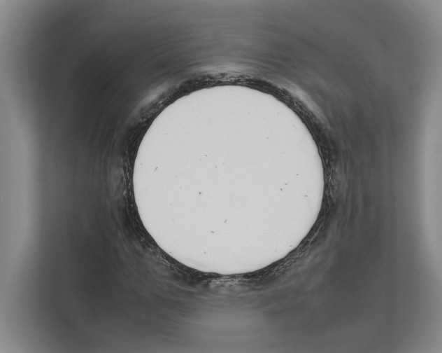 X0000111450967200908101031