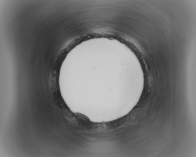 X0000111450968200908101031