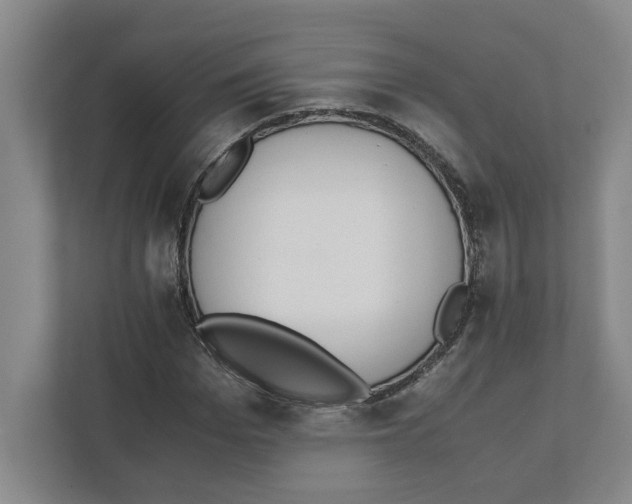 X0000111450969200908101031