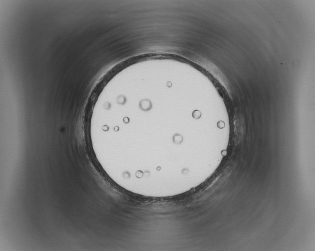 X0000111450972200908101031
