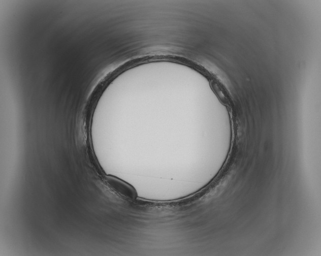 X0000111450973200908101031
