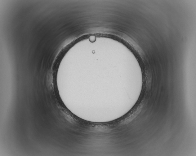 X0000111450974200908101031