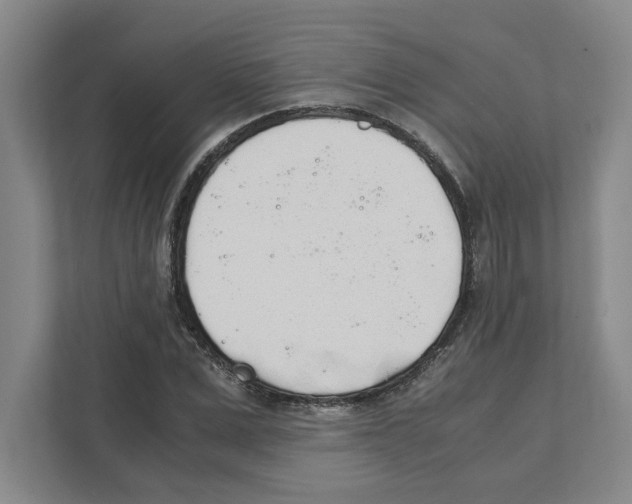 X0000111450975200908101031