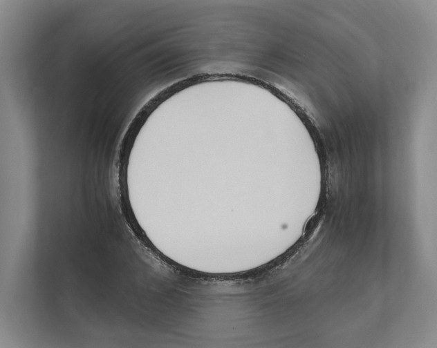 X0000111450976200908101031