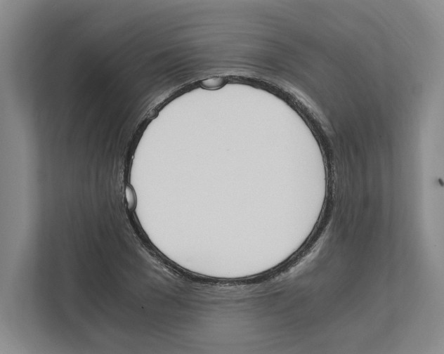X0000111450977200908101031