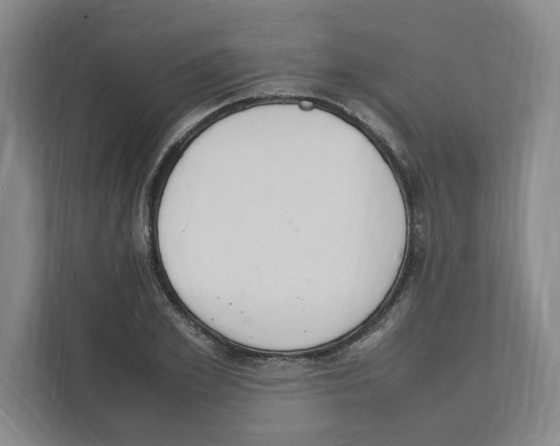 X0000111450981200908101031