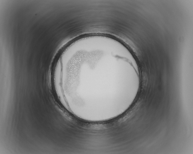 X0000111450982200908101031