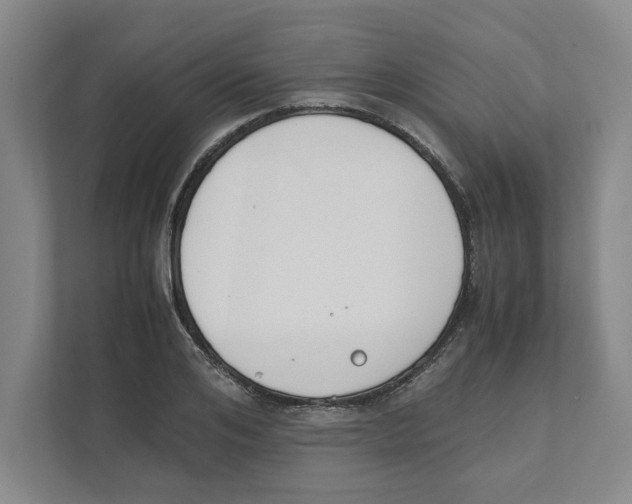 X0000111450984200908101031