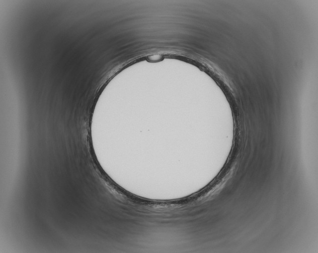 X0000111450985200908101031