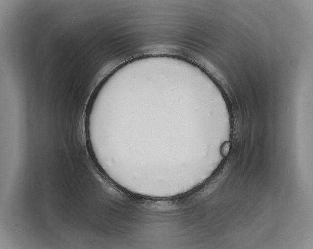 X0000111450986200908101031