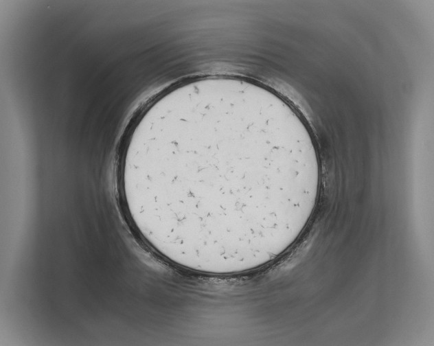 X0000111450987200908101031