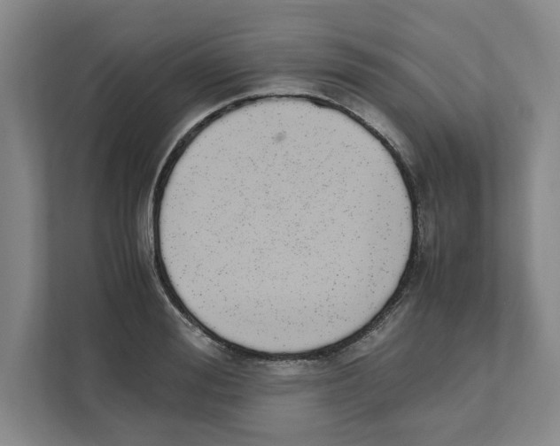 X0000111450988200908101031
