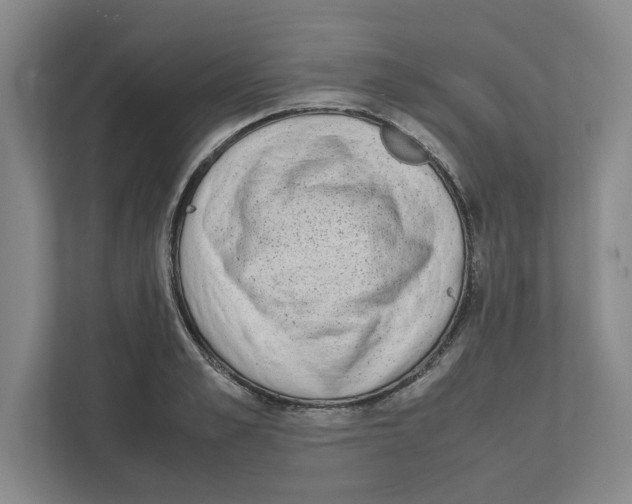 X0000111450989200908101031