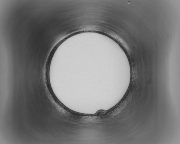 X0000111450991200908101031