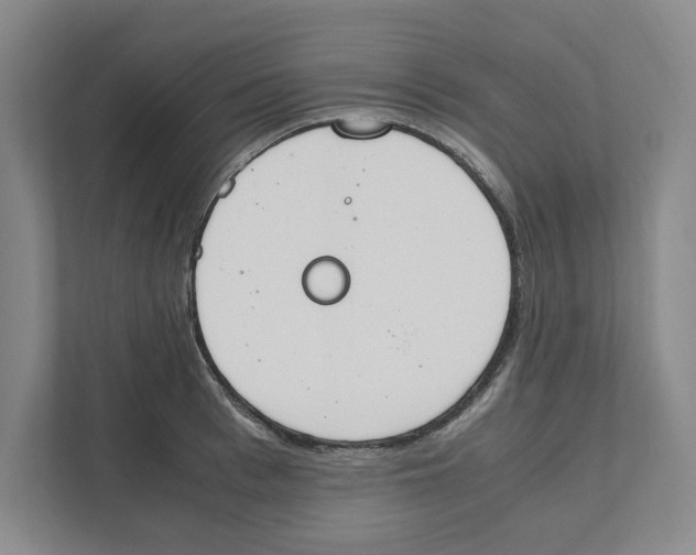X0000111450993200908101031