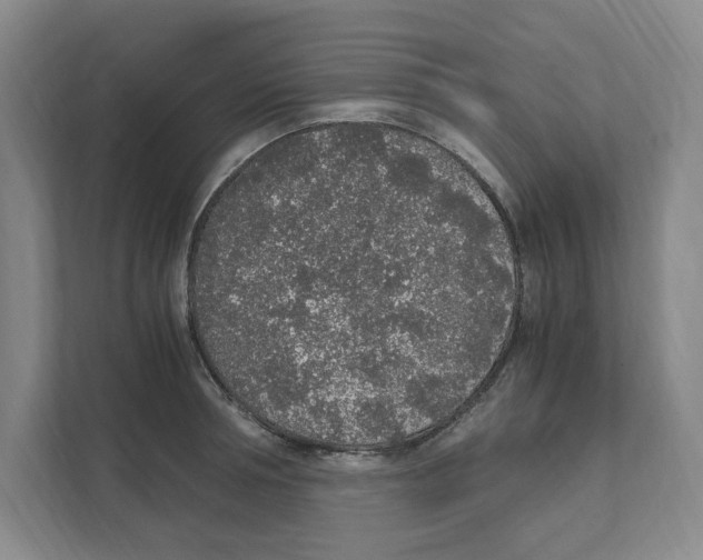 X0000111450994200908101031