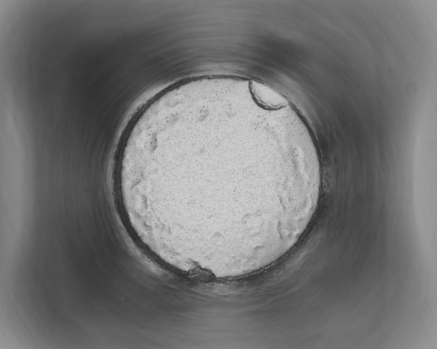 X0000111450995200908101031