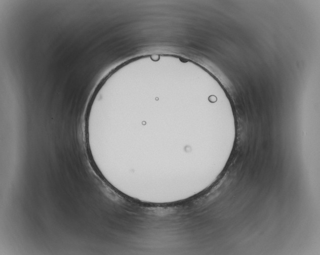 X0000111450996200908101031