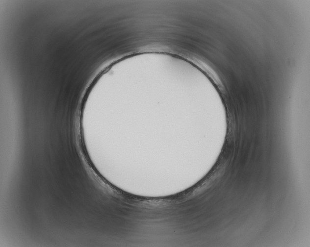 X0000111451000200908101031