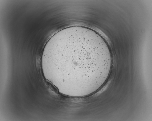 X0000111451001200908101031