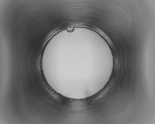 X0000111451002200908101031