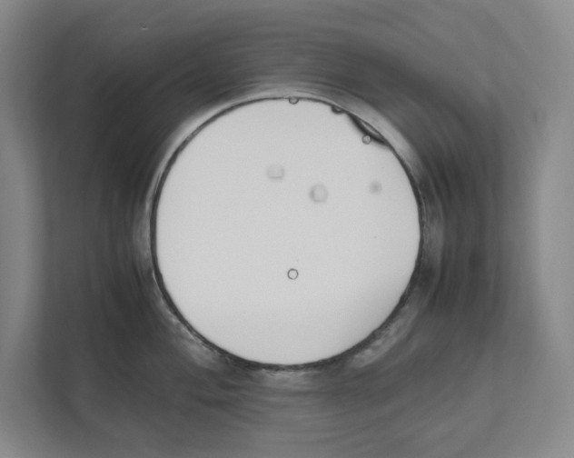X0000111451004200908101031