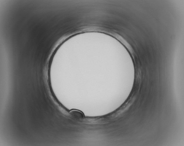 X0000111451005200908101031