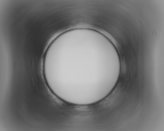 X0000111451006200908101031