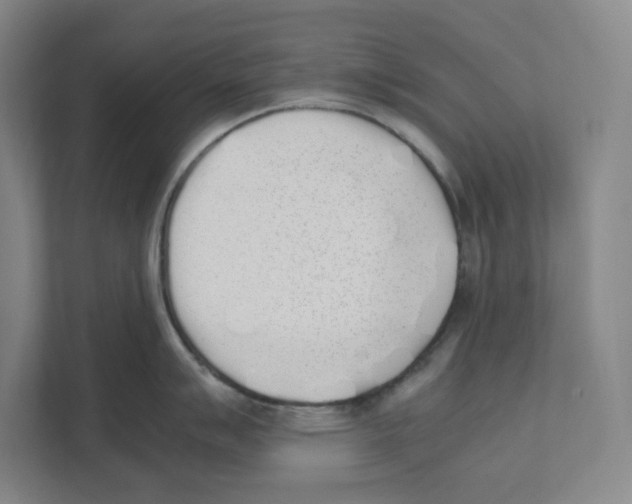 X0000111451007200908101031