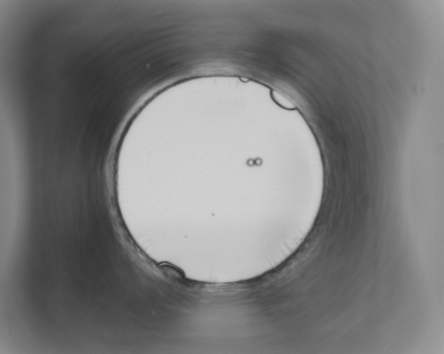 X0000111451008200908101031