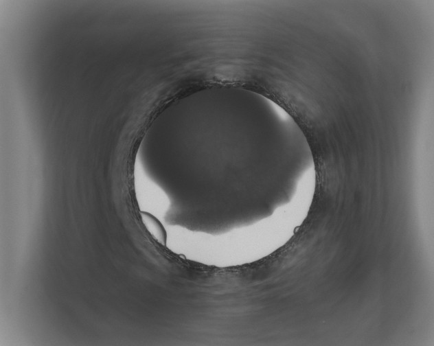 X0000111451009200908101030