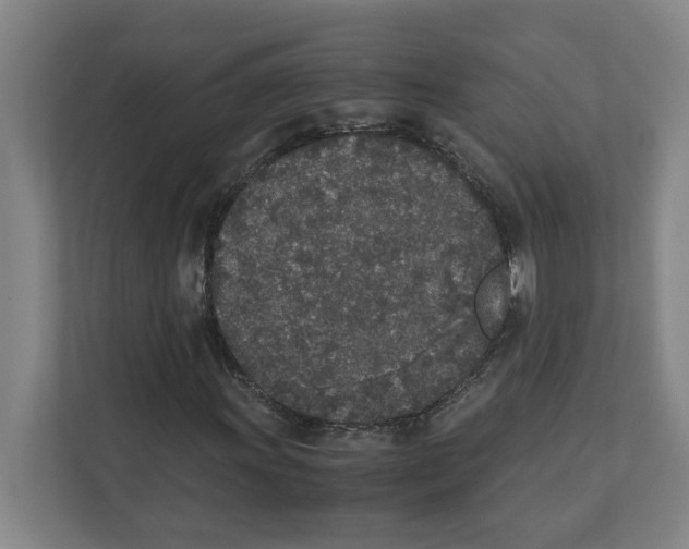 X0000111451011200908101030