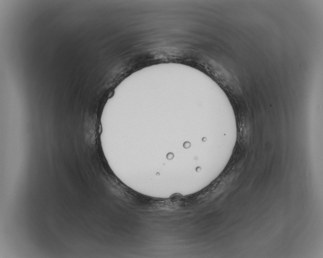 X0000111451012200908101030